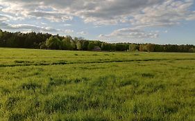 Kolorowe Wzgorze Agroturystyka I Konie