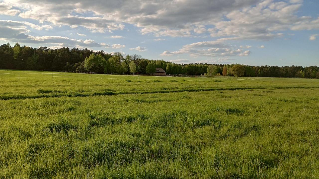 Kolorowe Wzgorze Agroturystyka I Konie Trojanow Ngoại thất bức ảnh