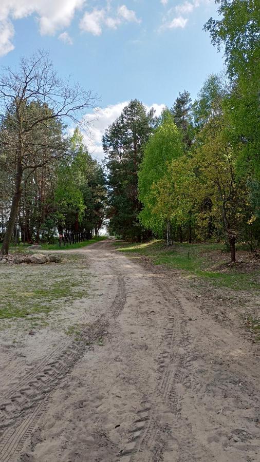 Kolorowe Wzgorze Agroturystyka I Konie Trojanow Ngoại thất bức ảnh
