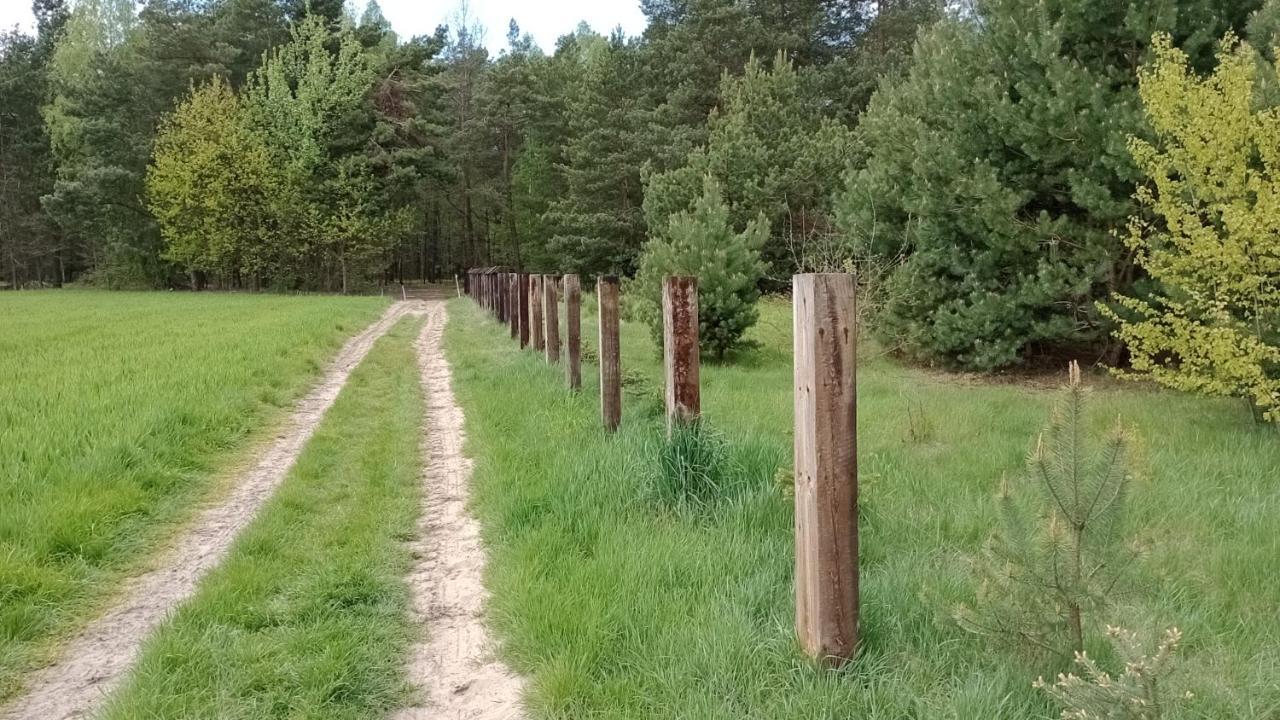 Kolorowe Wzgorze Agroturystyka I Konie Trojanow Ngoại thất bức ảnh